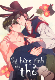 SỰ HỨNG TÌNH CỦA THỎ