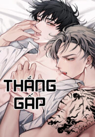THẮNG GẤP (SKIDMARK)